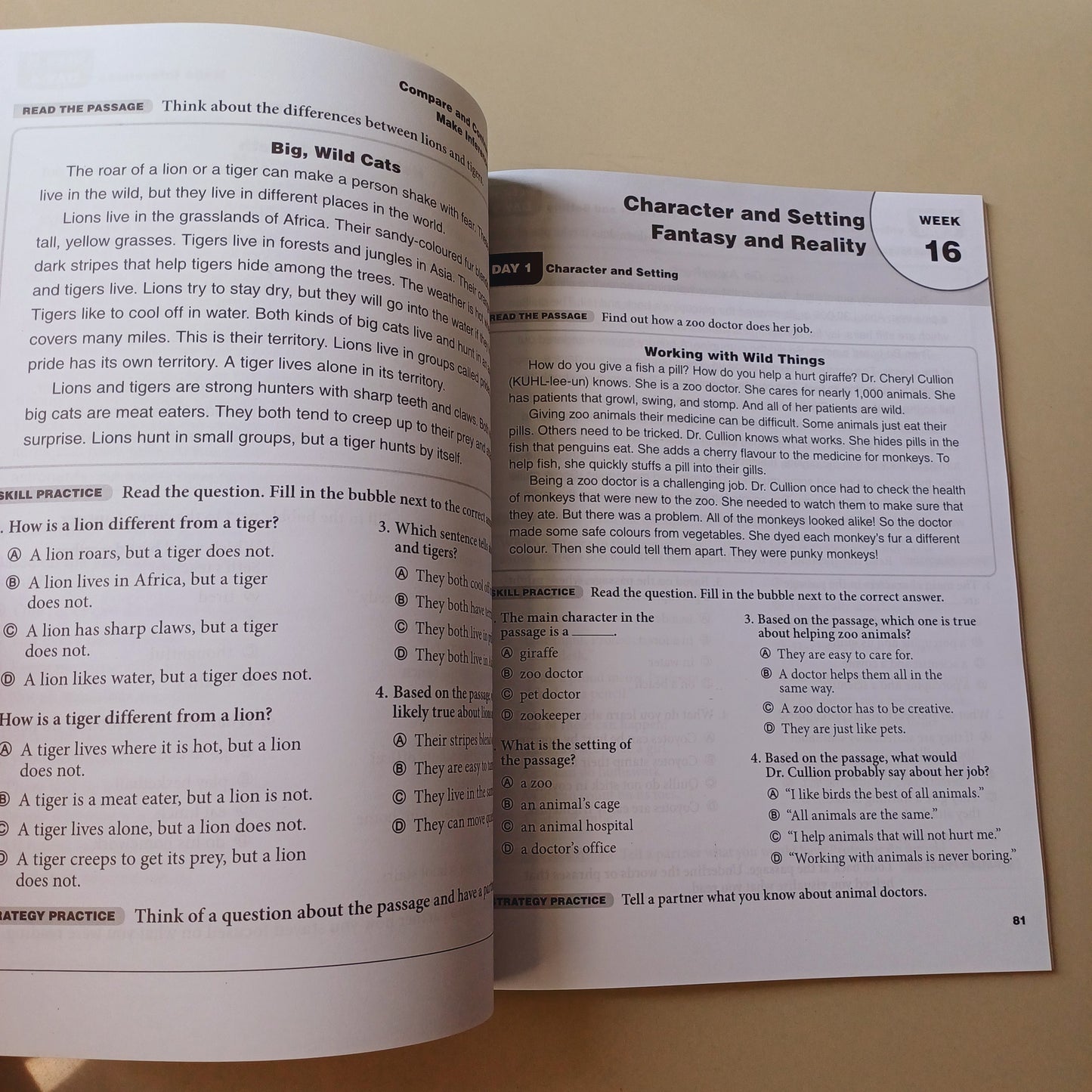 Daily Reading Comprehension Book 3