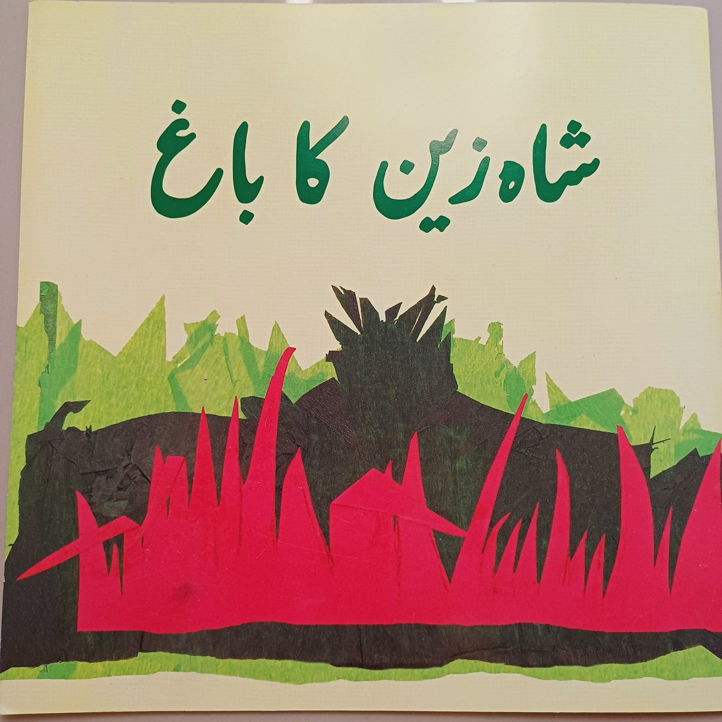 Shahzain Ka Bagh