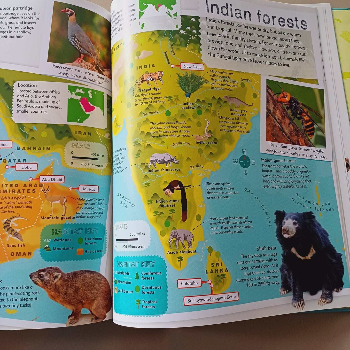 Children's Illustrated Animal Atlas-DK