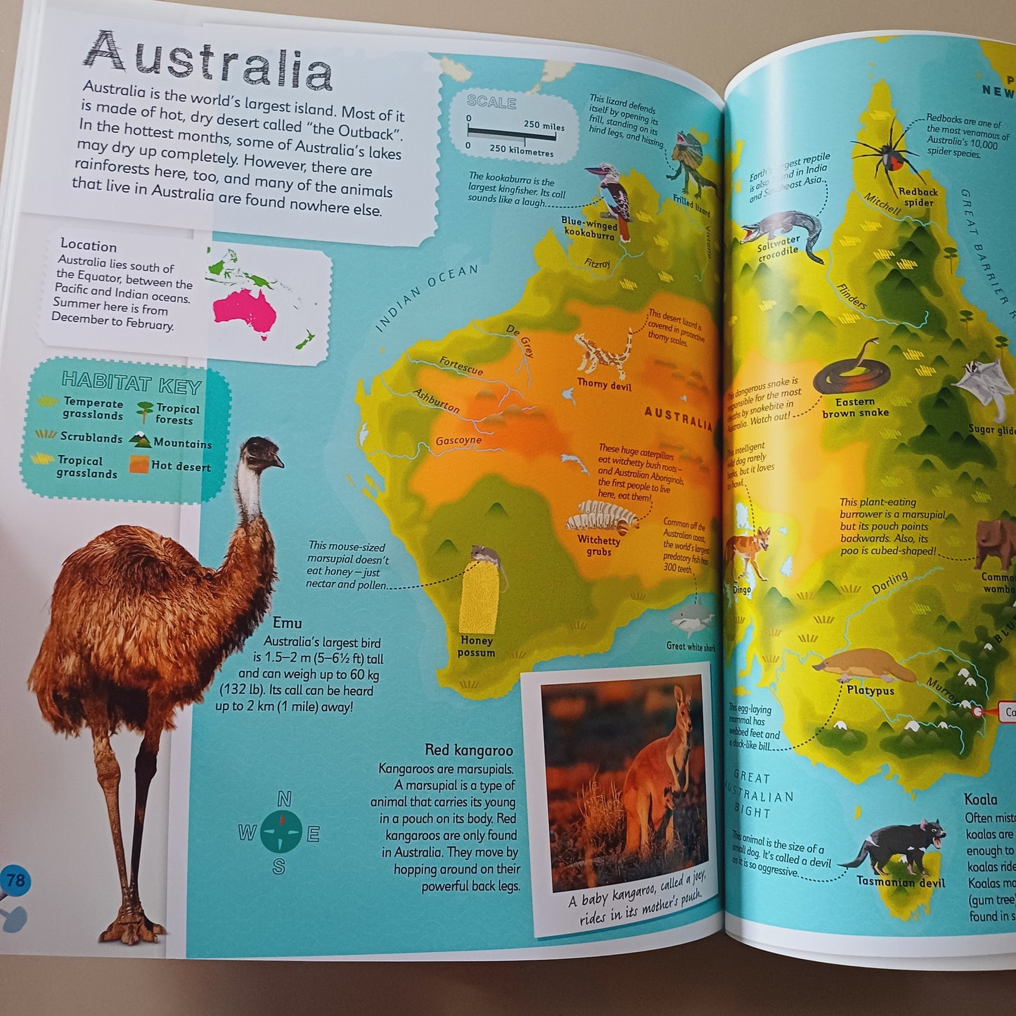 Children's Illustrated Animal Atlas-DK