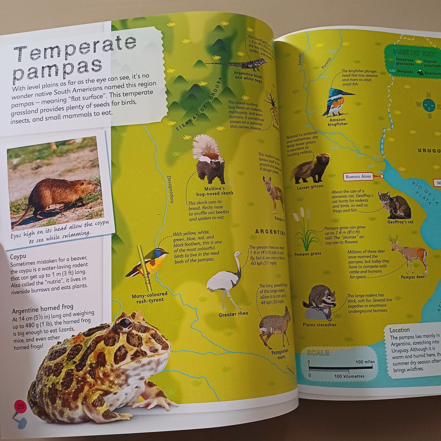 Children's Illustrated Animal Atlas-DK