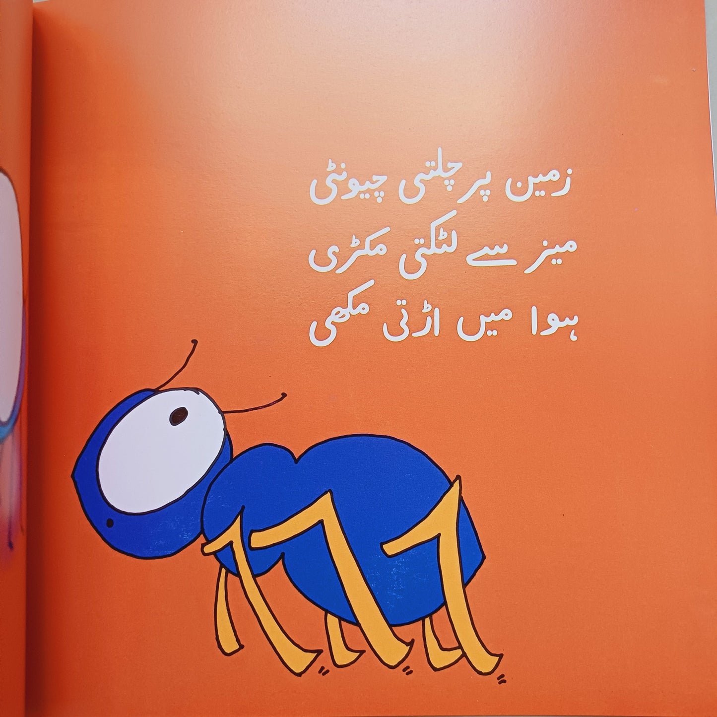 Maiz Kay Neechay