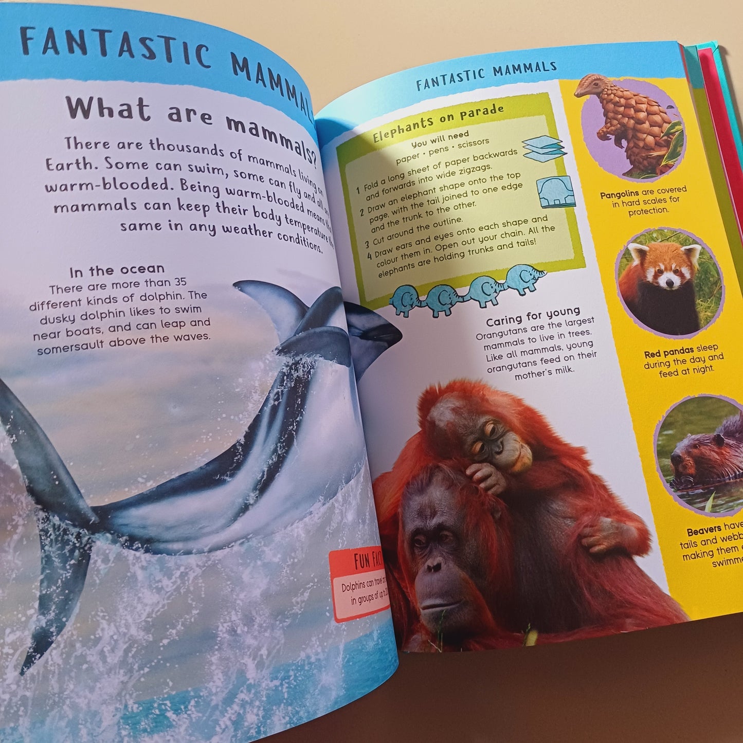 Encyclopedia of Amazing Facts- Miles Kelly