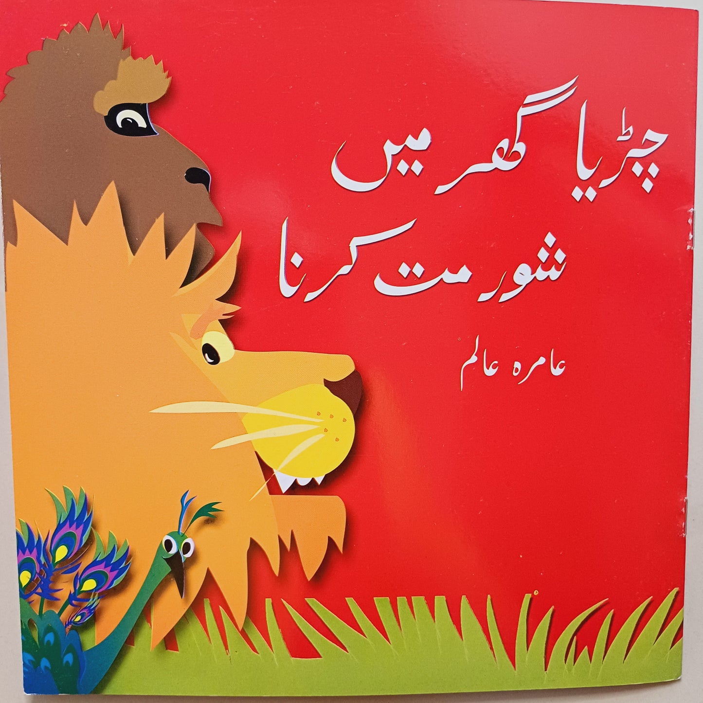 Chirya Ghar My Shor Mat Krna
