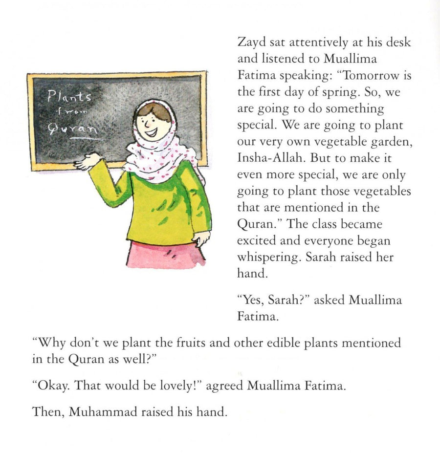 Zayd’s Curious Little Stories – Set of 10 books