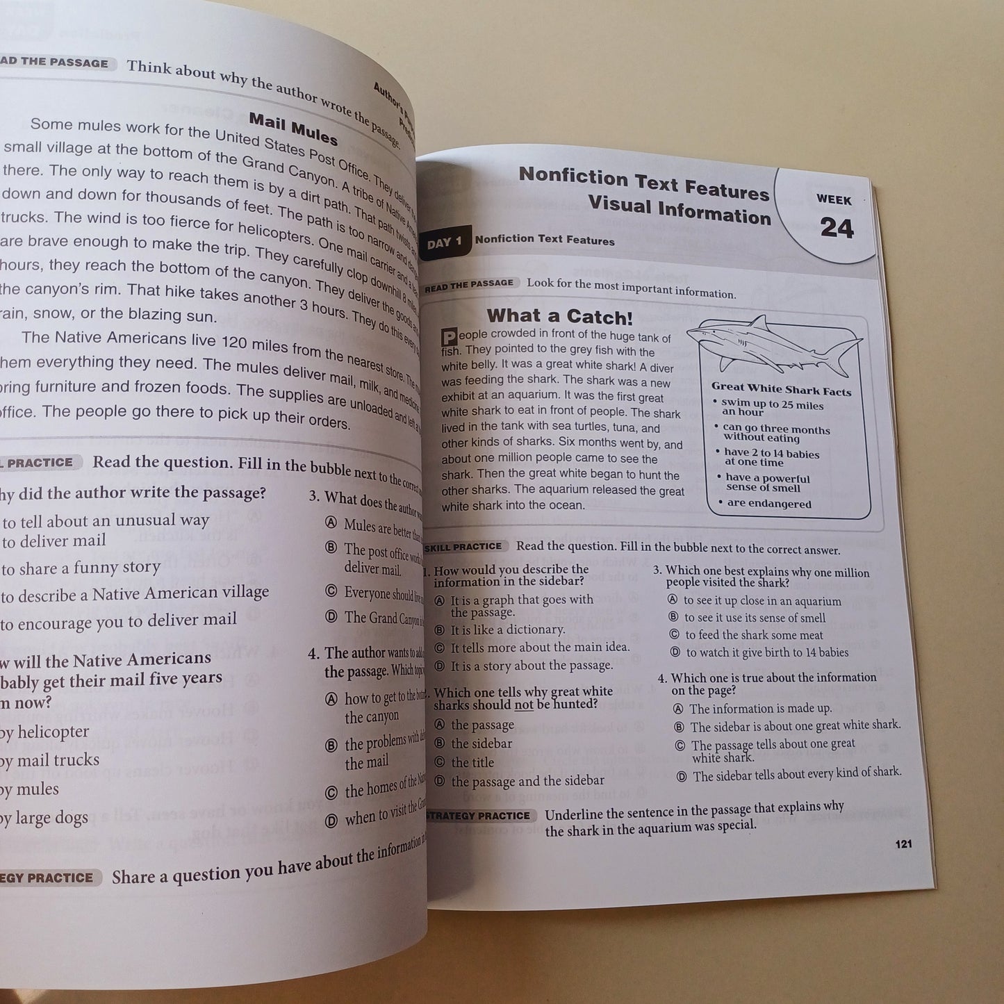 Daily Reading Comprehension Book 3