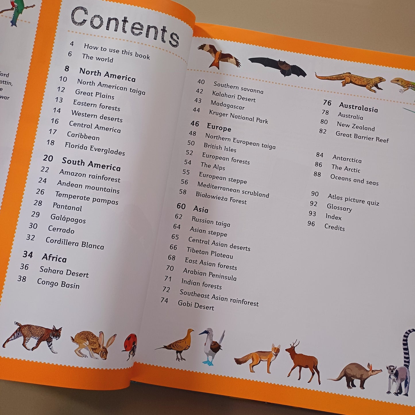 Children's Illustrated Animal Atlas-DK