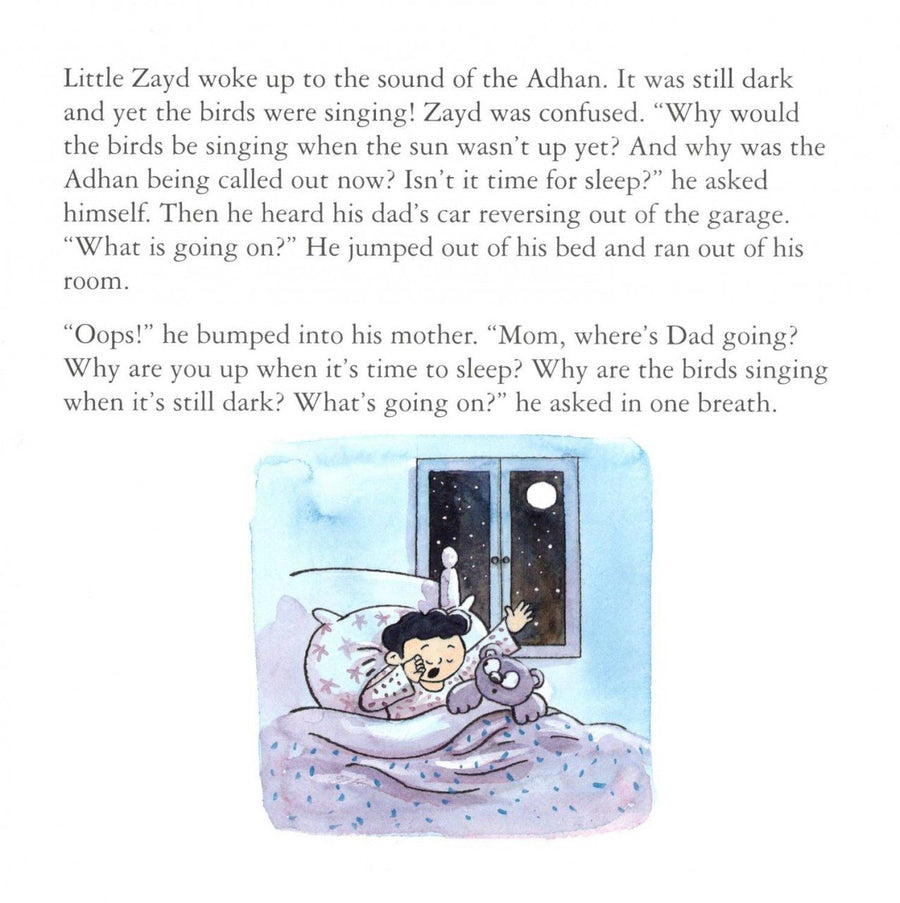 Zayd’s Curious Little Stories – Set of 10 books