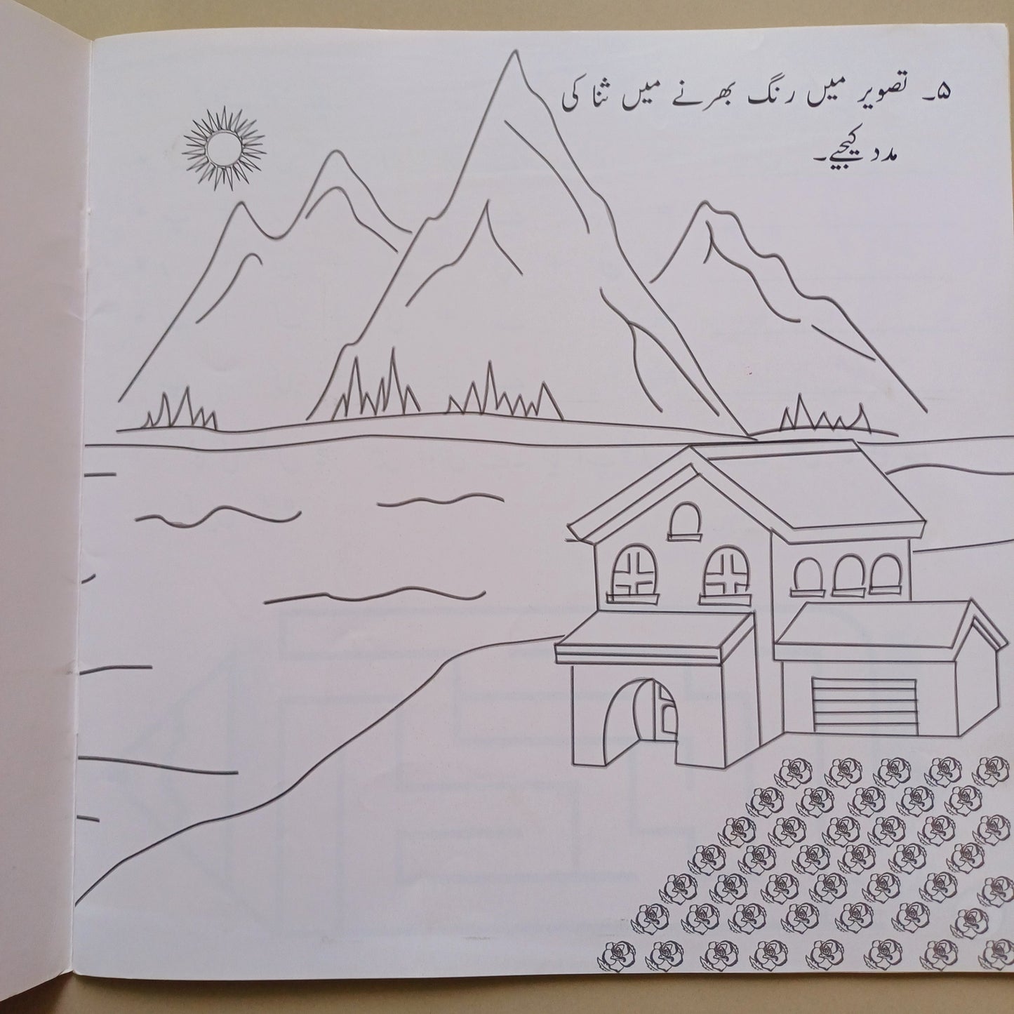 CHOTI DUNIYA: MERI RANGEEN DUNIYA