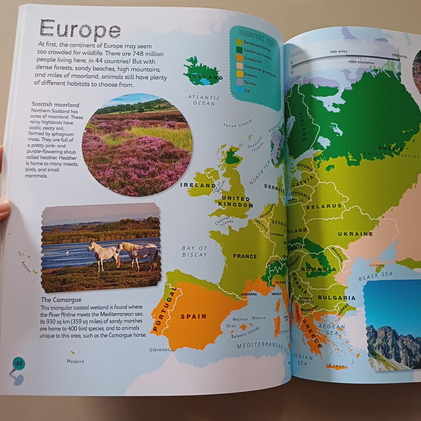 Children's Illustrated Animal Atlas-DK