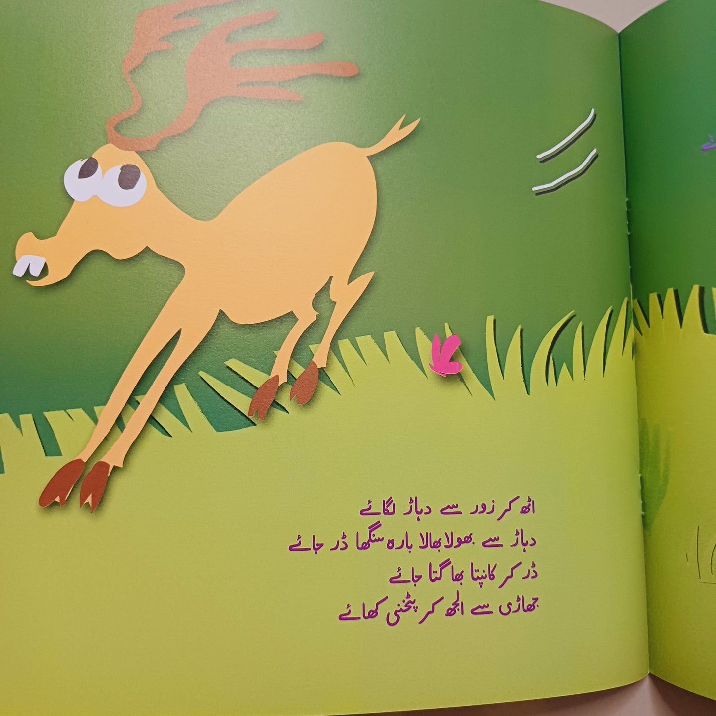 Chirya Ghar My Shor Mat Krna