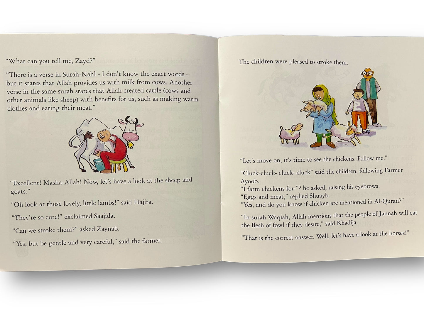Zayd’s Curious Little Stories – Set of 10 books