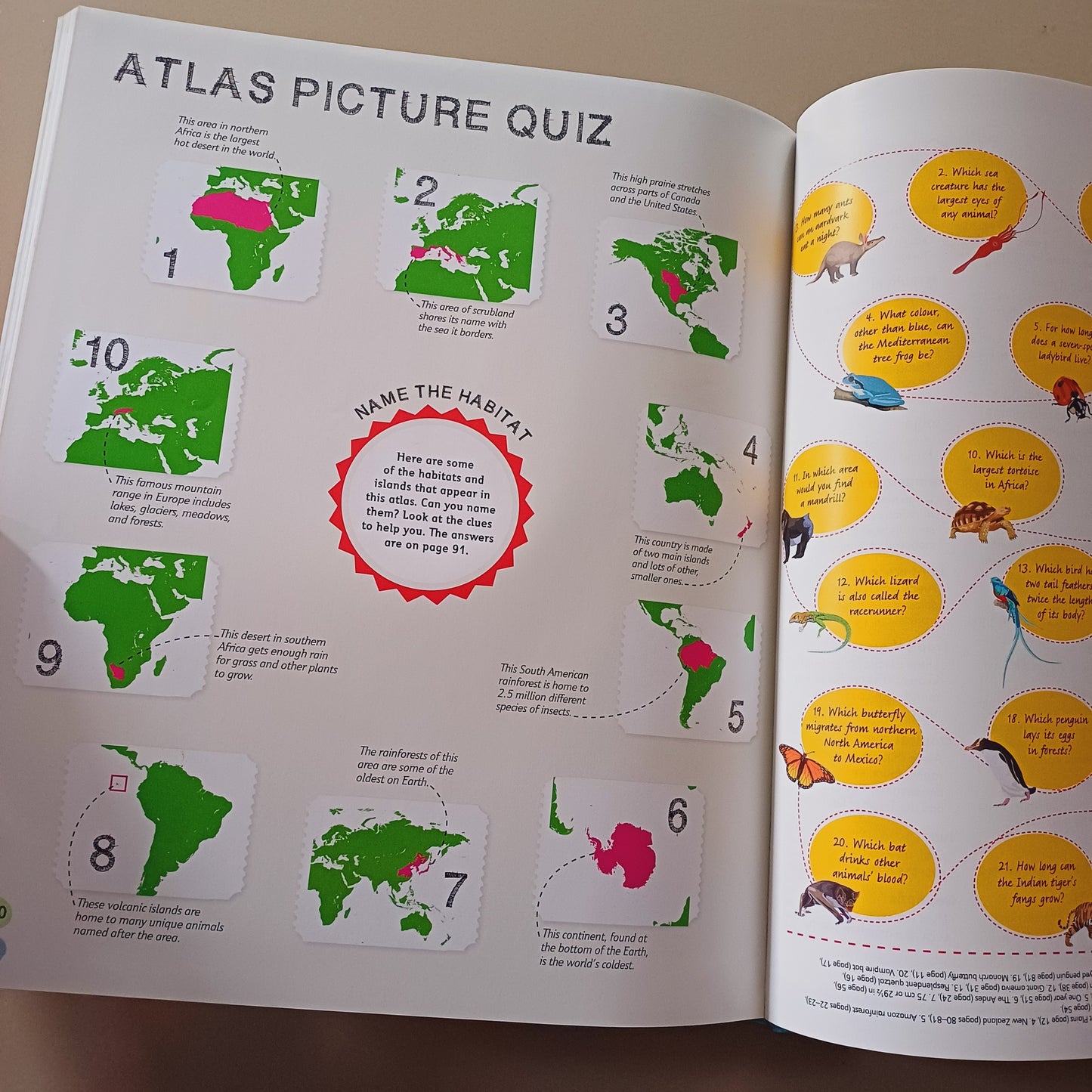 Children's Illustrated Animal Atlas-DK