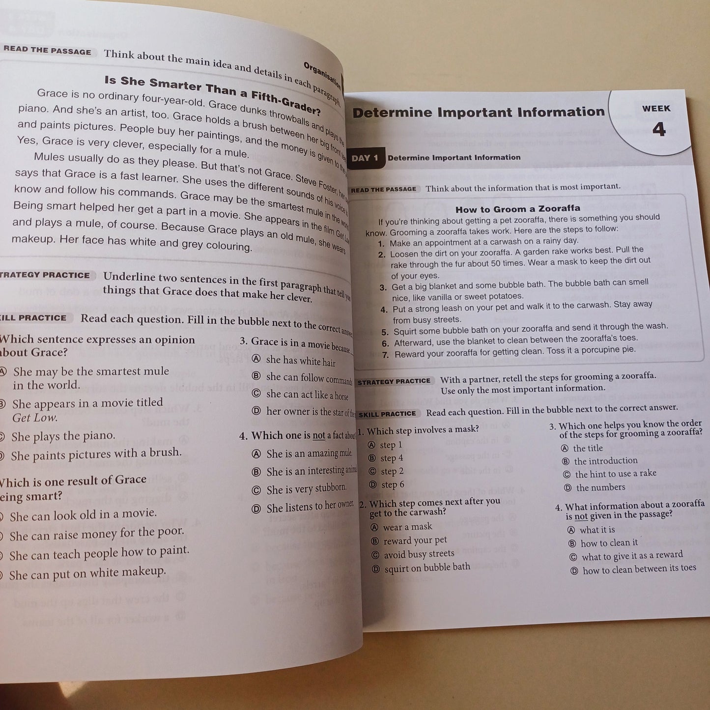 Daily Reading Comprehension Book 3