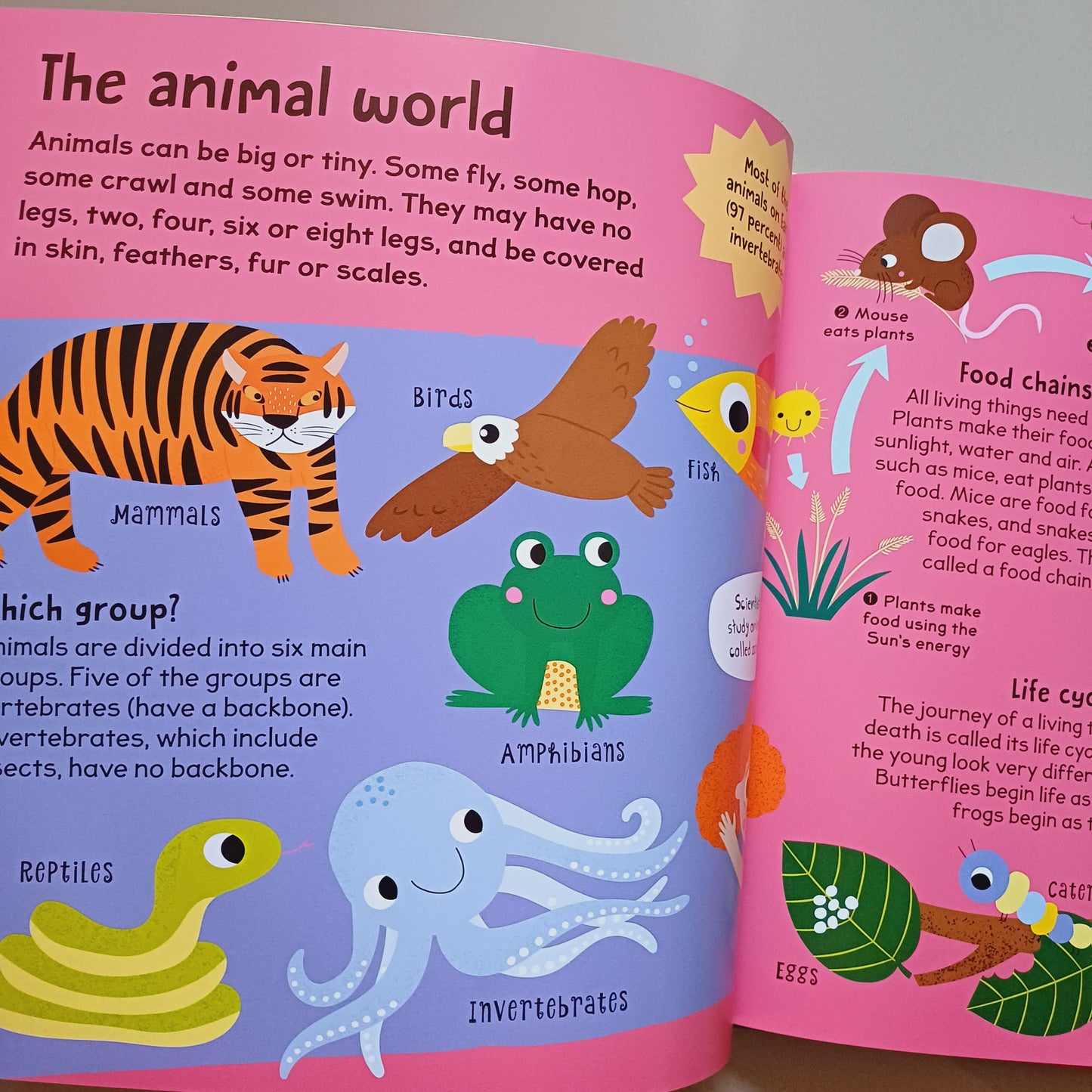 First Science Book