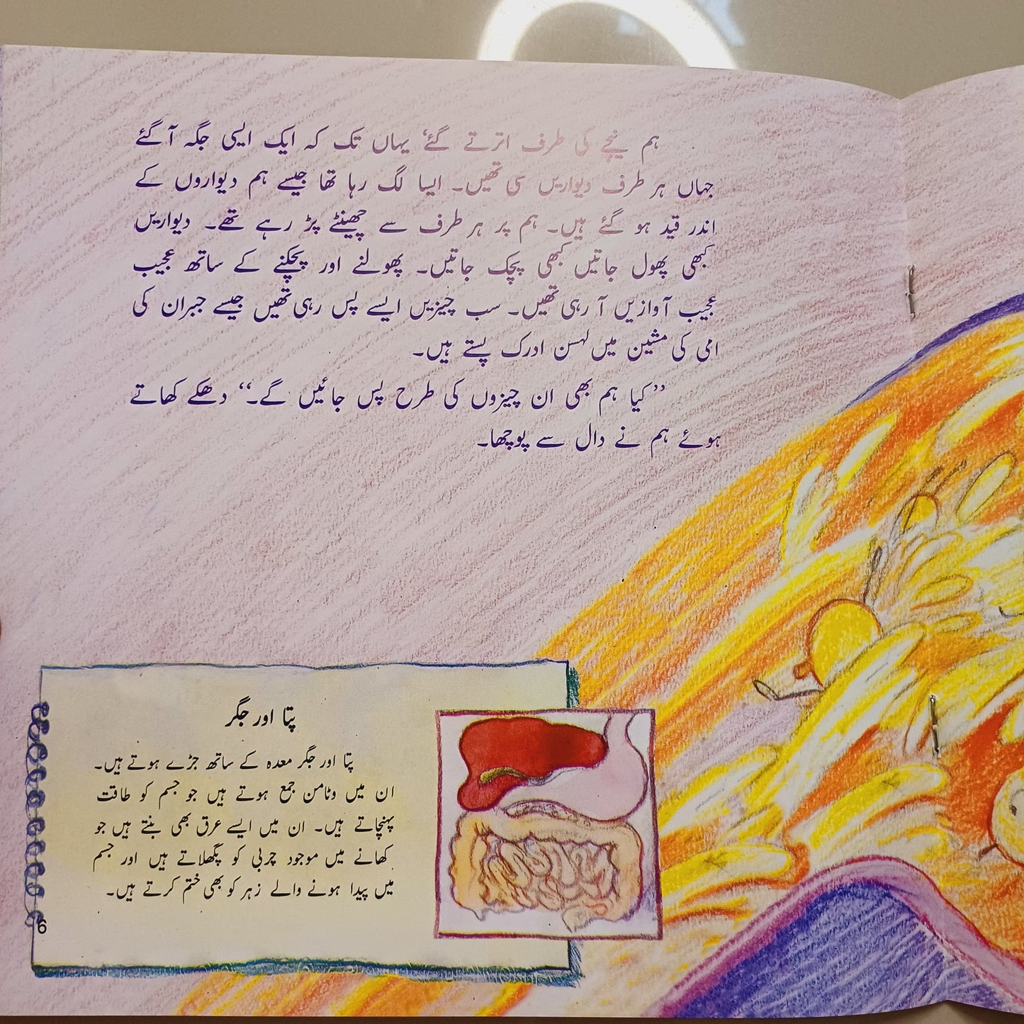 Daal Chawal Ka Safar