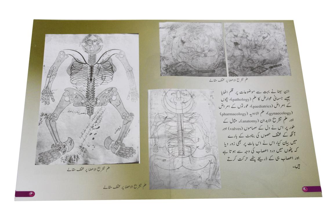 Azeem Musalman Sciencedan: 12 Books Set (Urdu Edition)