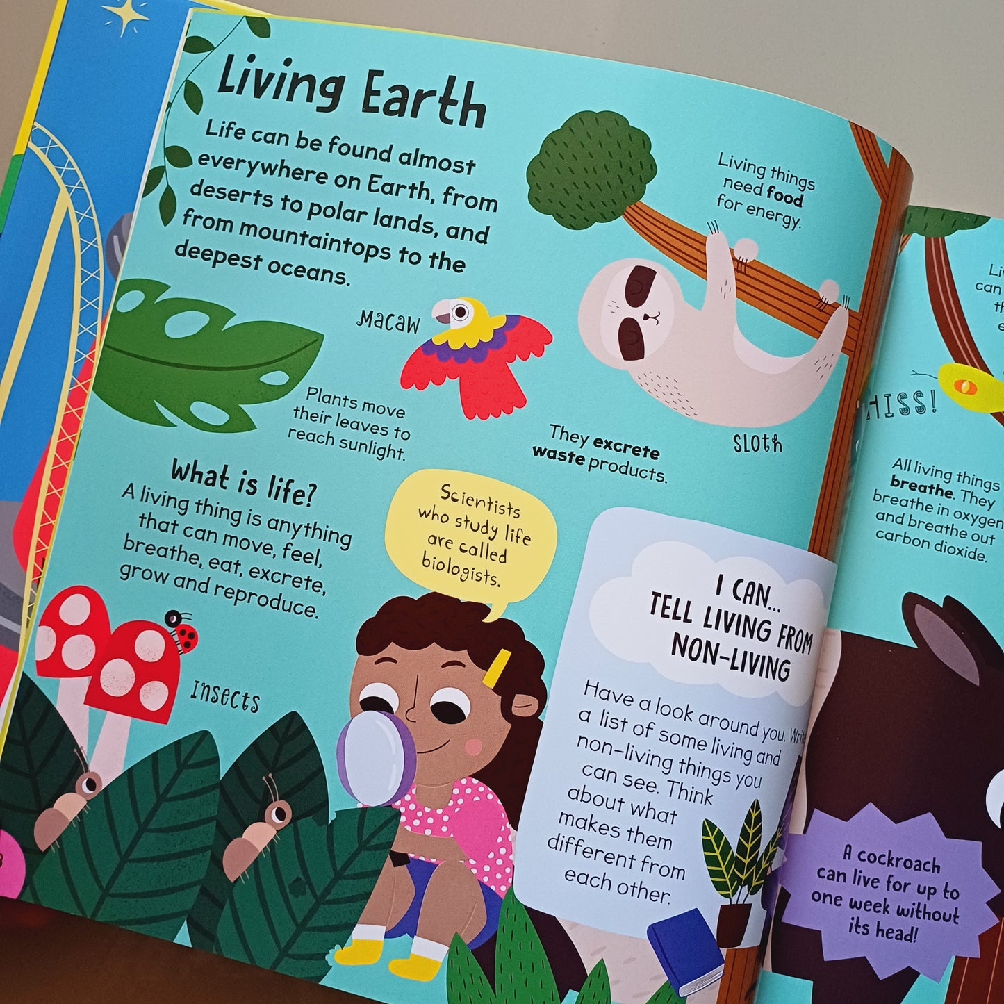First Science Book