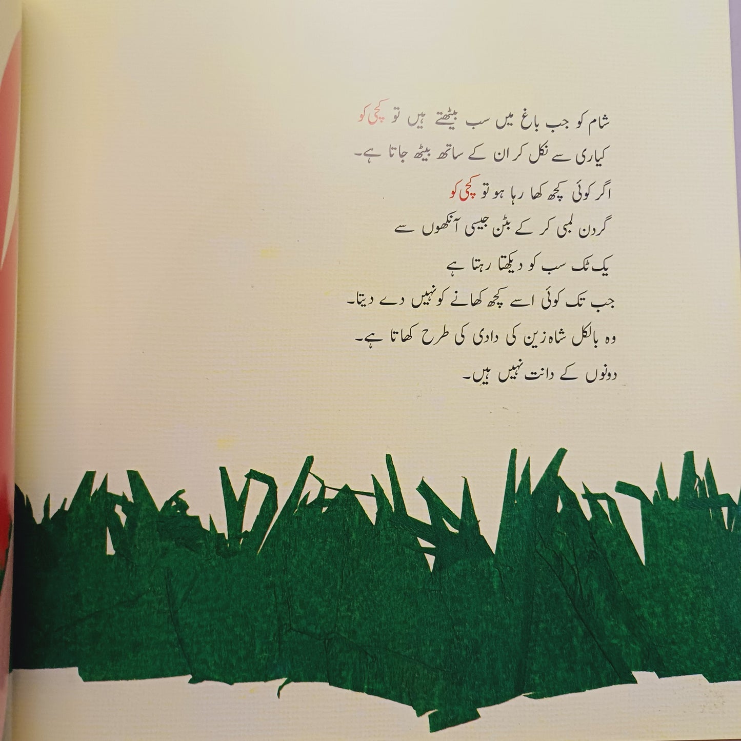 Shahzain Ka Bagh