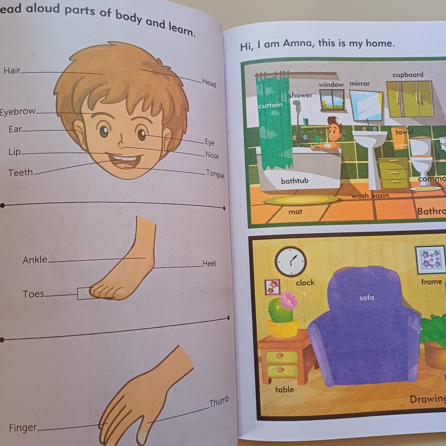 Mind Quest General Knowledge A