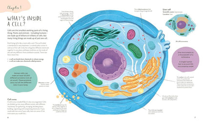Thirty Trillion Cells- How your body Really works