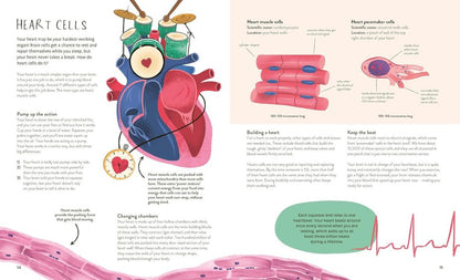Thirty Trillion Cells- How your body Really works