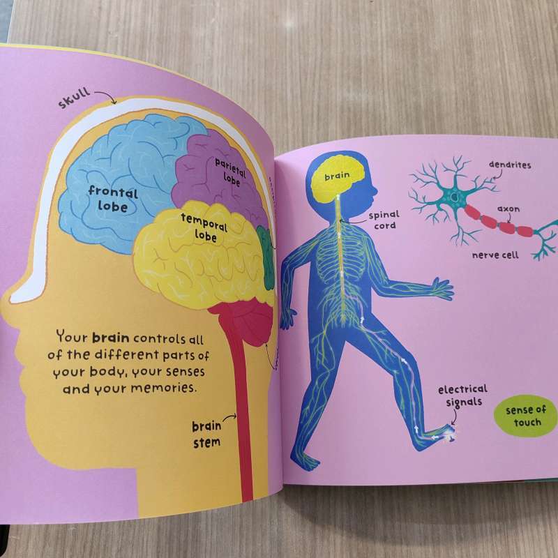 Big Words for Little Experts: Body