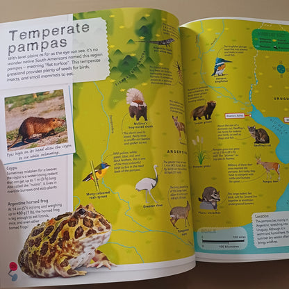 Children's Illustrated Animal Atlas-DK