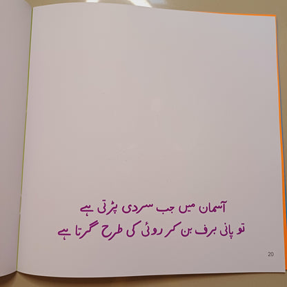 Pani