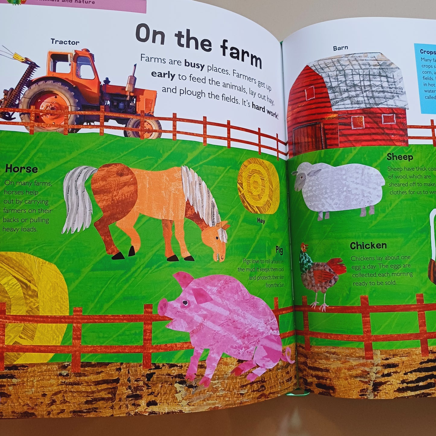 The Very Hungry Caterpillar’s Very First Encyclopedia