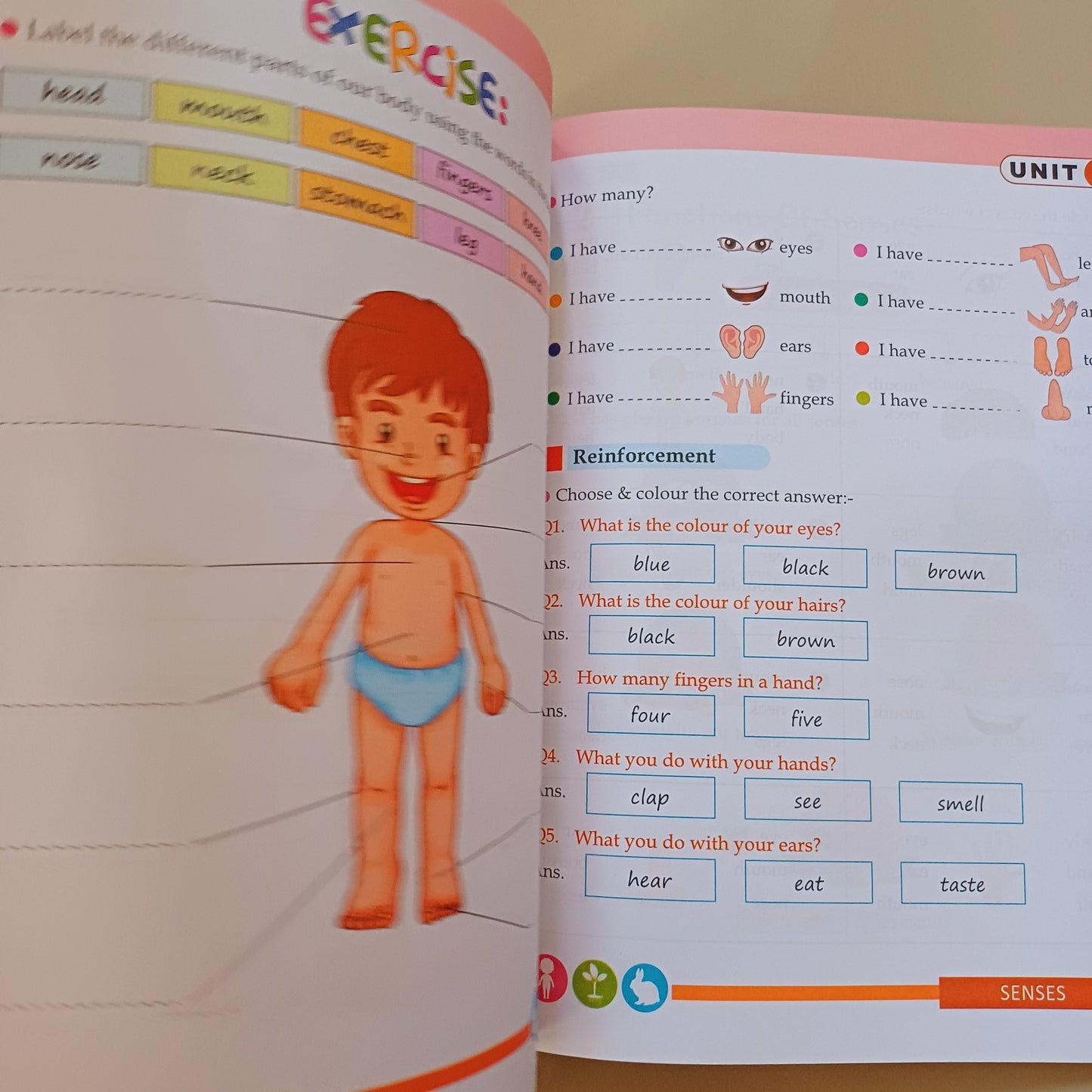 Kids Science
