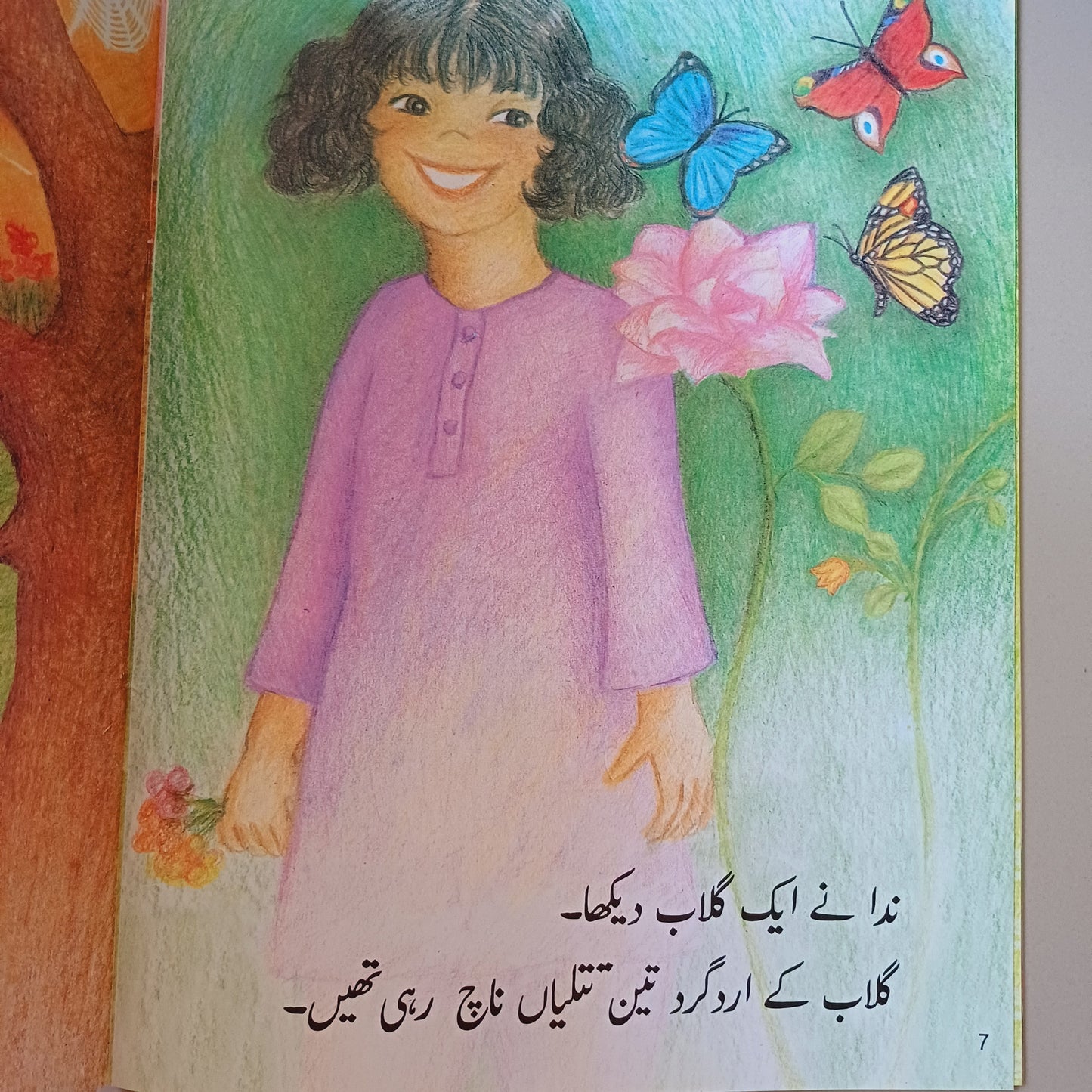 Nida Kay Nanhy Dost