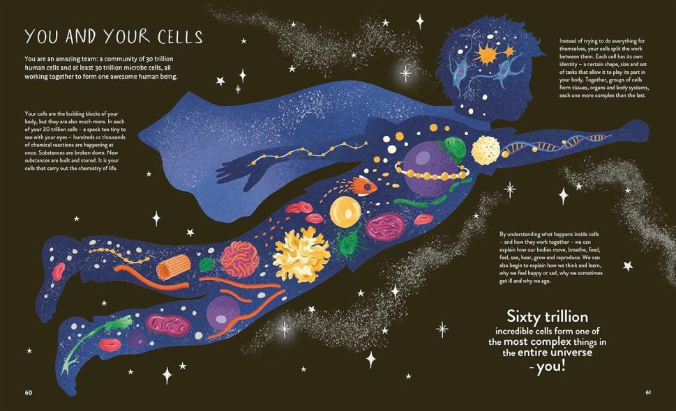 Thirty Trillion Cells- How your body Really works