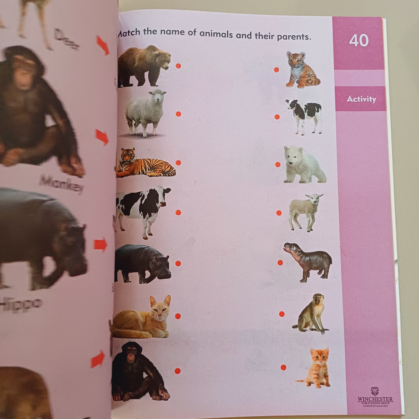 Mind Quest General Knowledge B