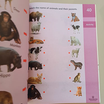 Mind Quest General Knowledge B