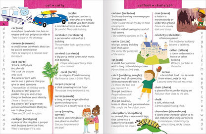 Junior Dictionary By Miles Kelly