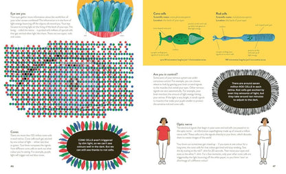 Thirty Trillion Cells- How your body Really works