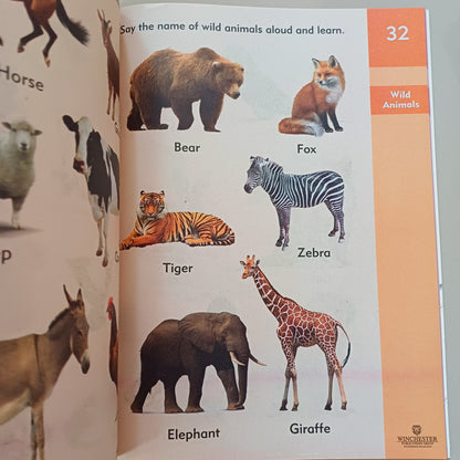 Mind Quest General Knowledge B