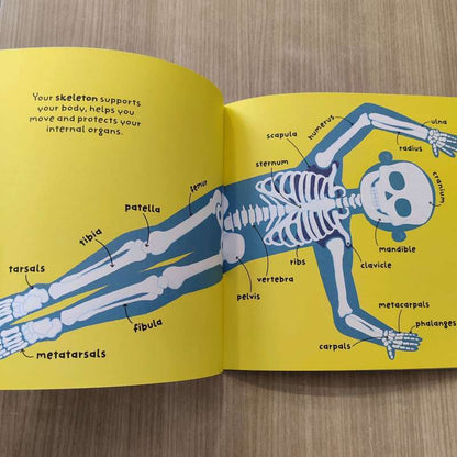Big Words for Little Experts: Body