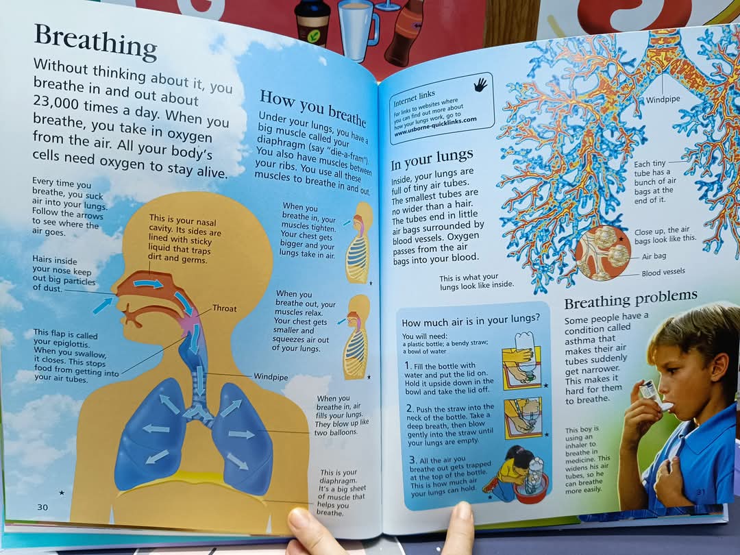First Encyclopedia of the Human Body -Usborne