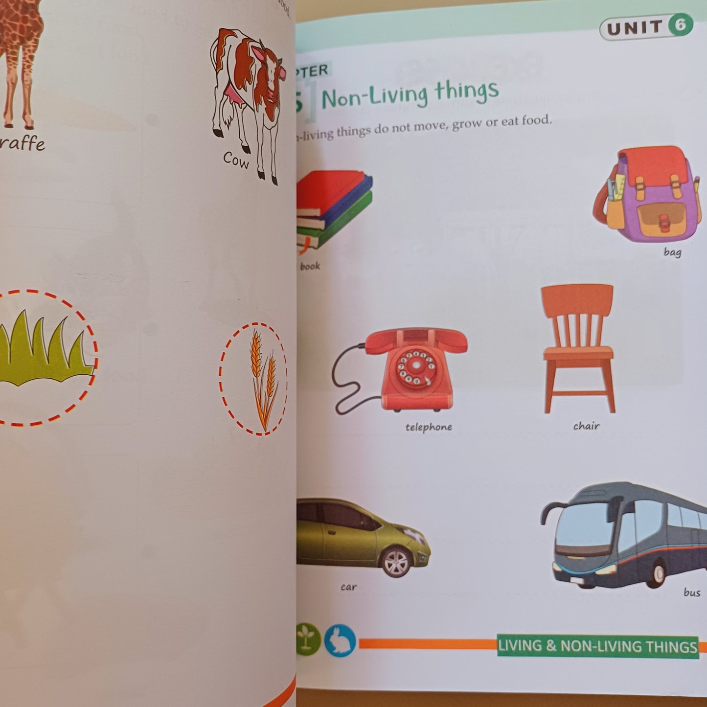 Kids Science