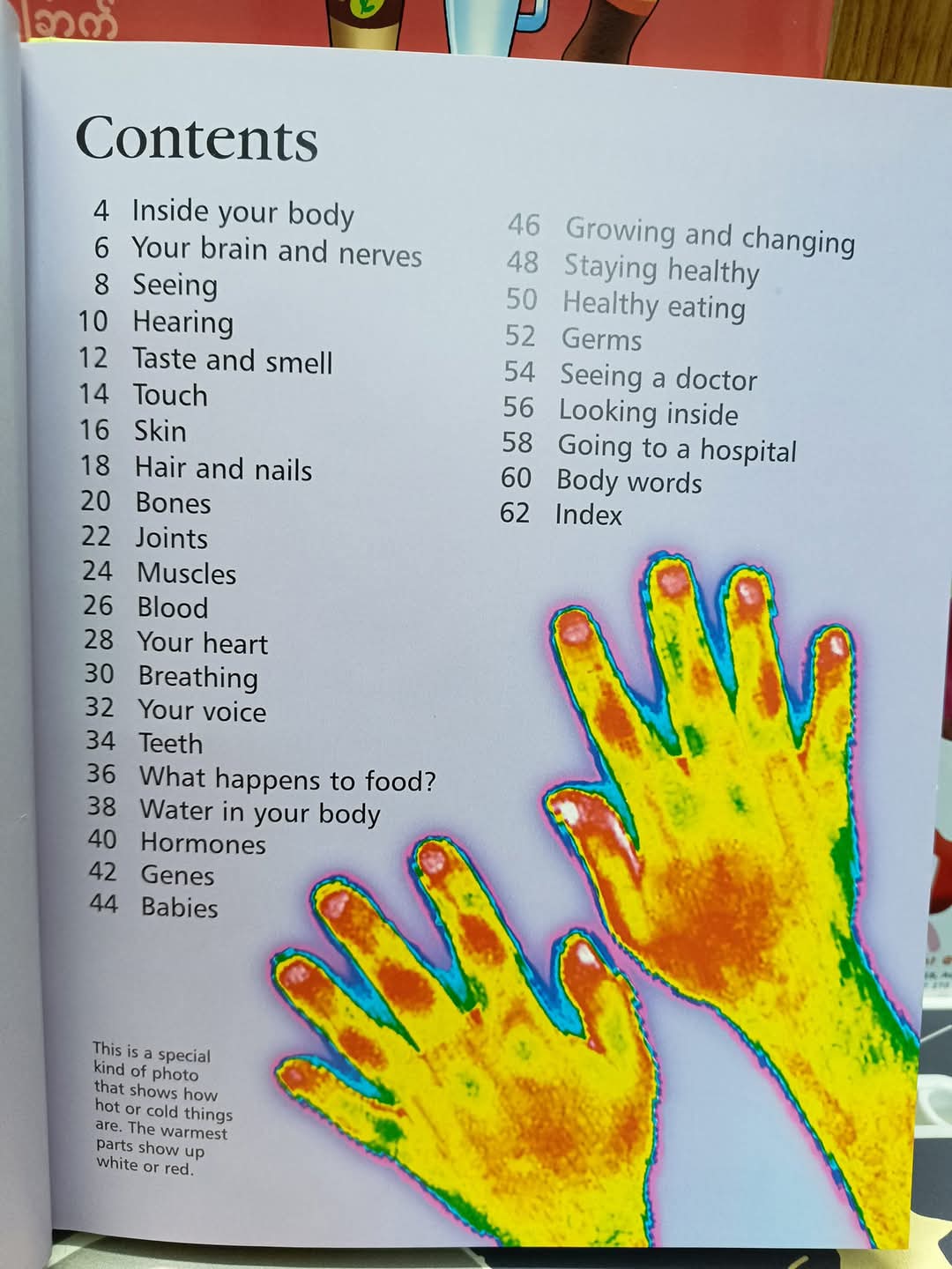 First Encyclopedia of the Human Body -Usborne