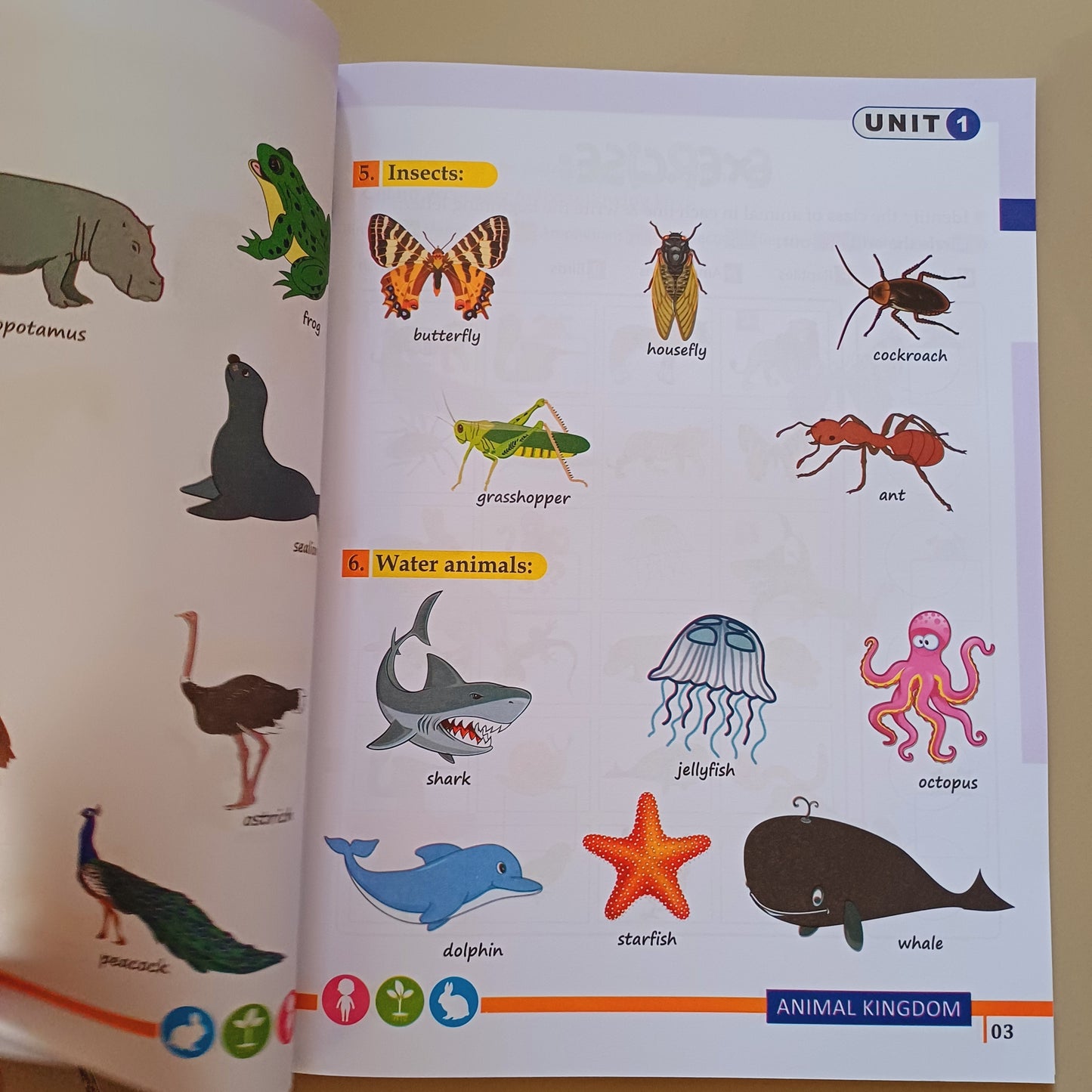 Kids Science