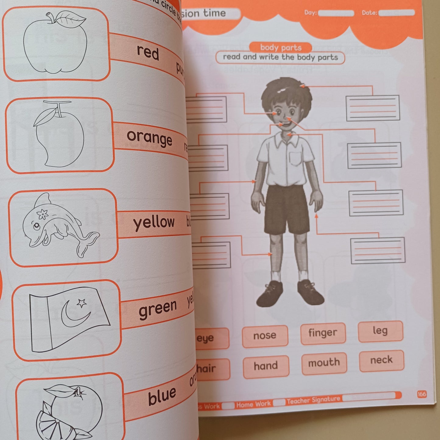 Practice Copies Set - Step 2