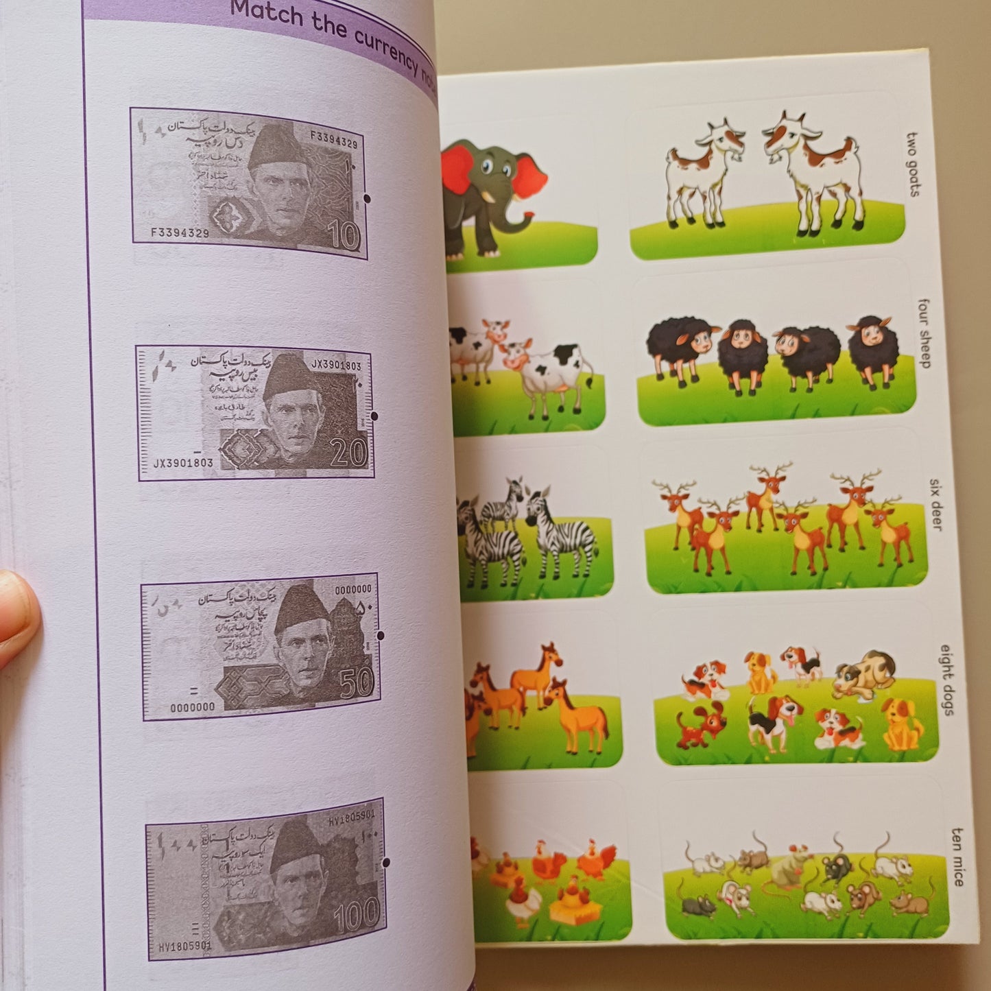 Practice Copies Set - Step 2
