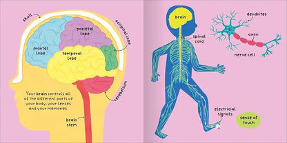 Big Words for Little Experts: Body