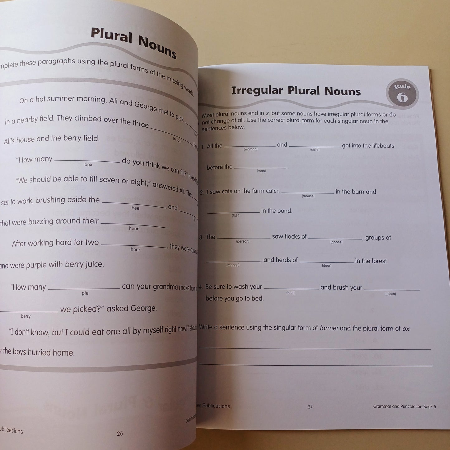 Grammar and Punctuation Book 5