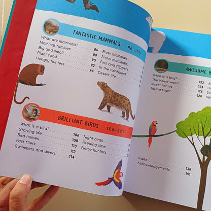 Encyclopedia of Amazing Facts- Miles Kelly