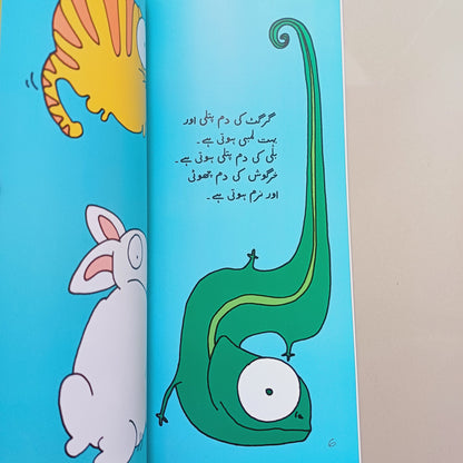 Patli Lambi Kitab