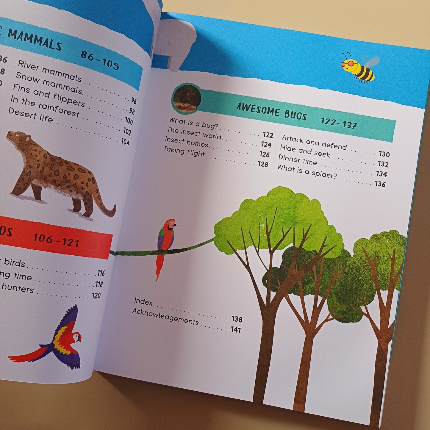 Encyclopedia of Amazing Facts- Miles Kelly